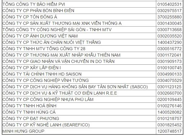 top-500-doanh-nghiep-lon-nhat-viet-nam-2017-anh-2