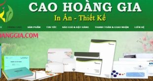 cac-cong-ty-lon-o-tphcm-cong-ty-tnhh-thuong-mai-cao-hoang-gia-144863