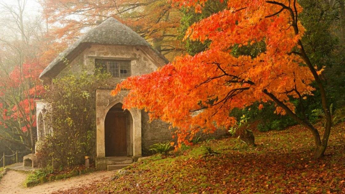 son-mat-tien-nha-ong-dep-gothic-cottage-in-autumn
