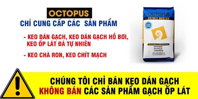 mau-nha-cap-4-dep-nhat-viet-nam-keo-dan-gach-octopus