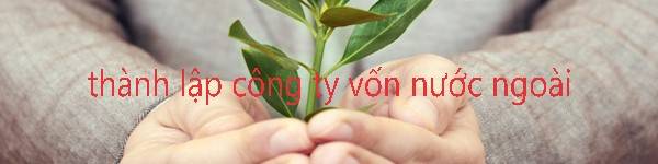 cac-cong-ty-tnhh-o-viet-nam-thanh-lap-cong-ty-von-nuoc-ngoai